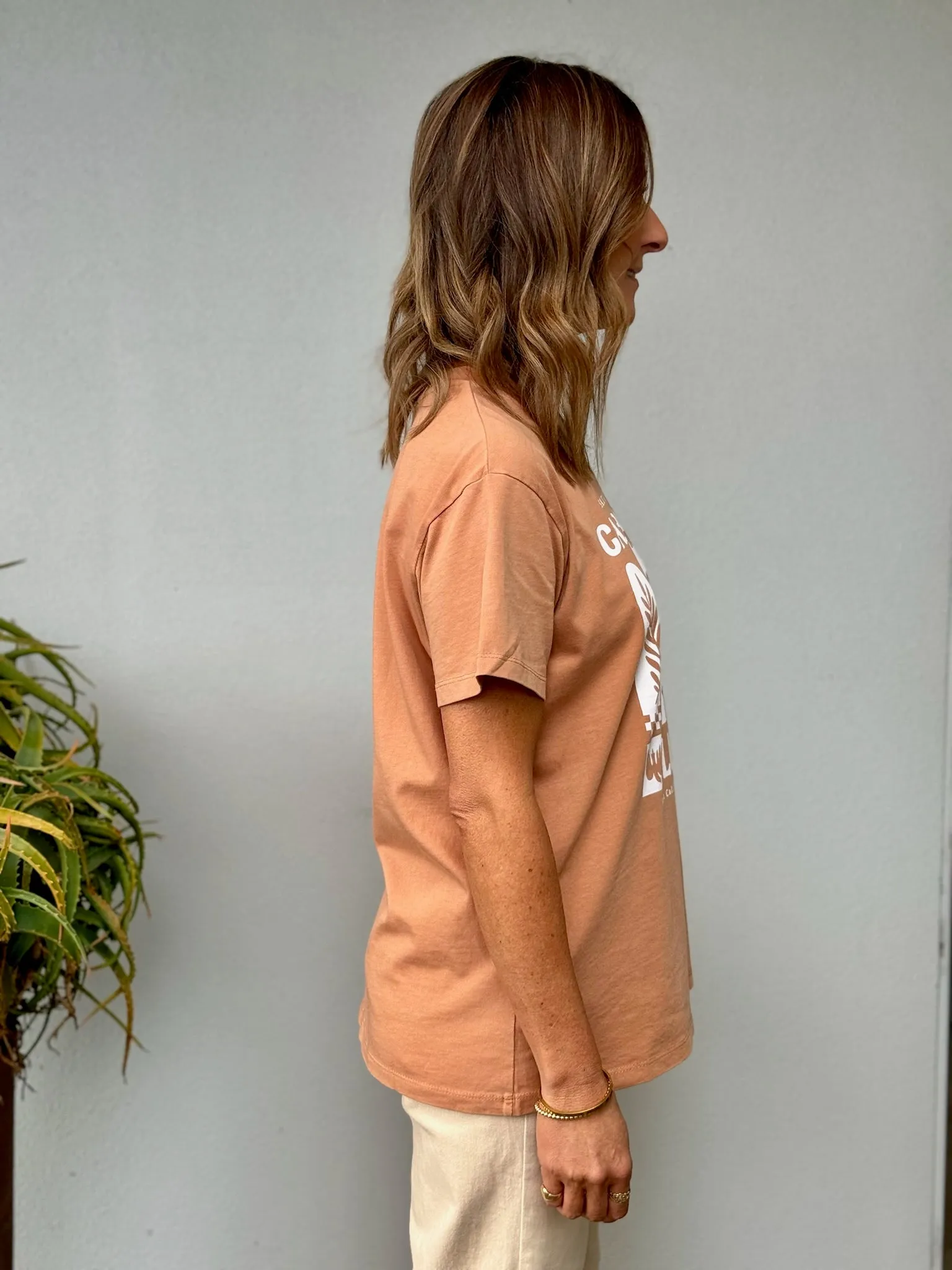 Baja Standard Tee - Tan