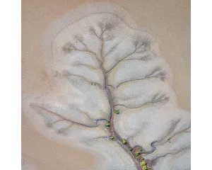REACH OUT. Wall Art