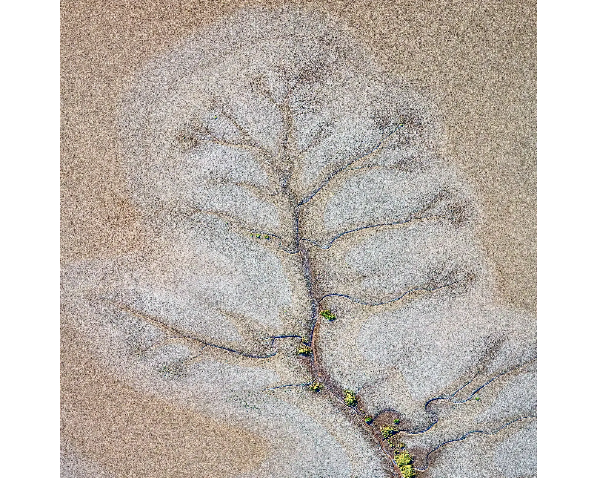 REACH OUT. Wall Art